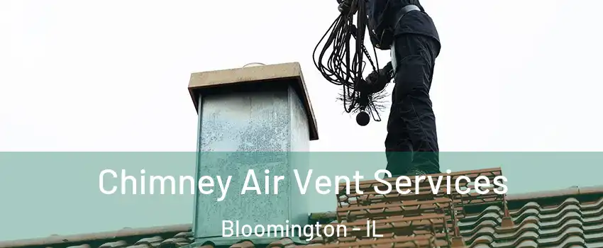  Chimney Air Vent Services Bloomington - IL