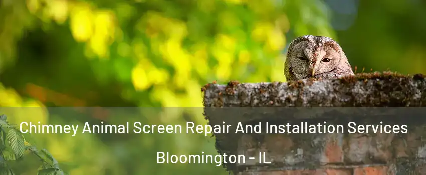  Chimney Animal Screen Repair And Installation Services Bloomington - IL