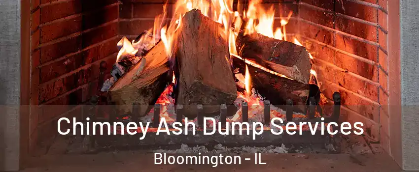  Chimney Ash Dump Services Bloomington - IL