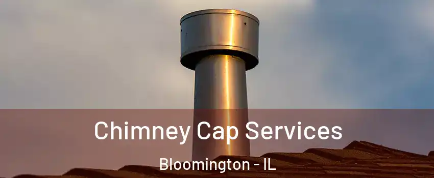  Chimney Cap Services Bloomington - IL