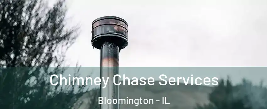  Chimney Chase Services Bloomington - IL