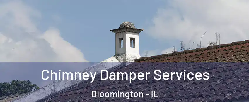  Chimney Damper Services Bloomington - IL