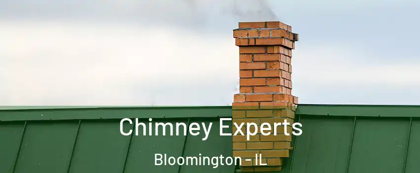  Chimney Experts Bloomington - IL