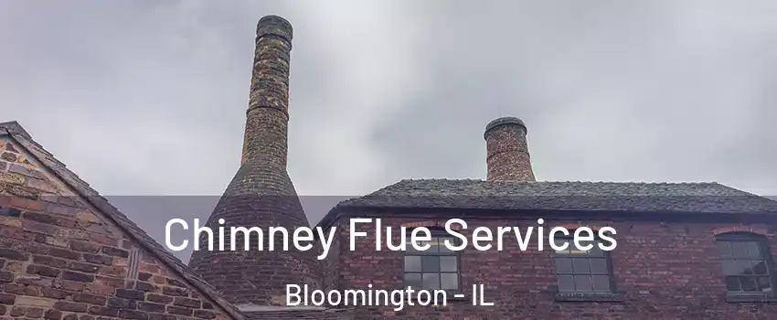  Chimney Flue Services Bloomington - IL