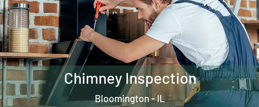 Chimney Inspection Bloomington - IL