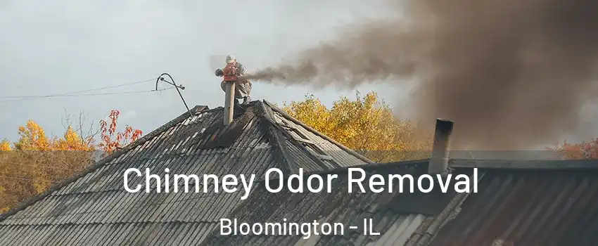  Chimney Odor Removal Bloomington - IL