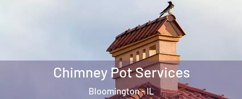  Chimney Pot Services Bloomington - IL