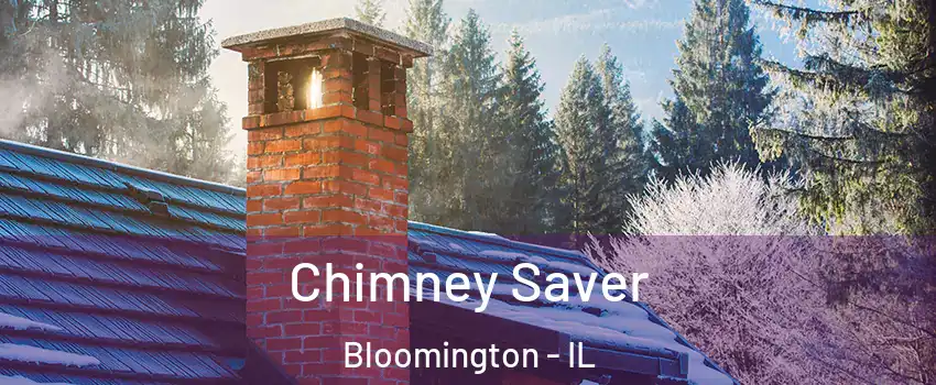  Chimney Saver Bloomington - IL