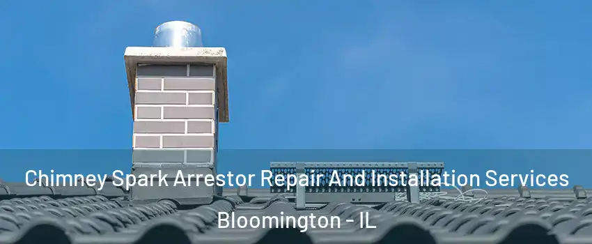  Chimney Spark Arrestor Repair And Installation Services Bloomington - IL