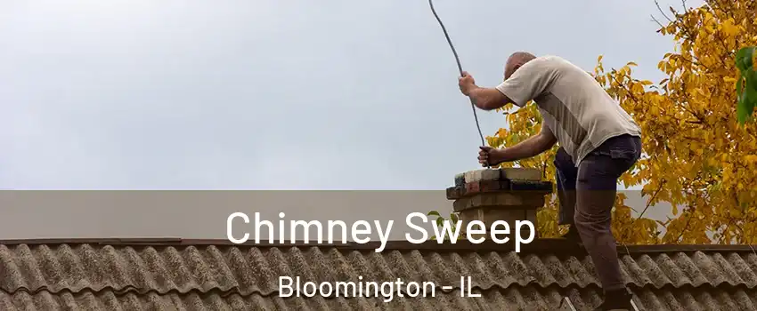  Chimney Sweep Bloomington - IL