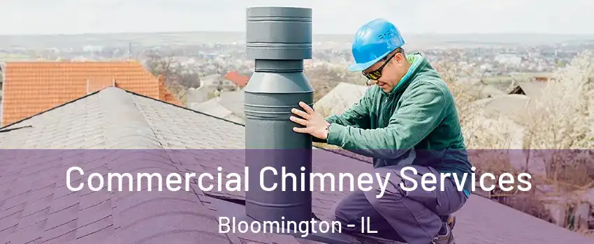  Commercial Chimney Services Bloomington - IL