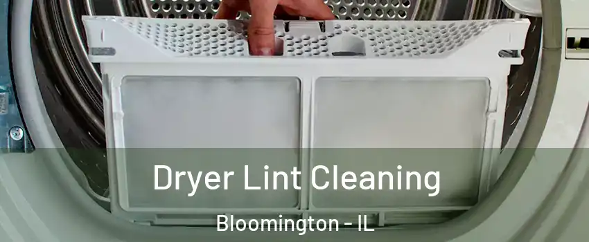  Dryer Lint Cleaning Bloomington - IL