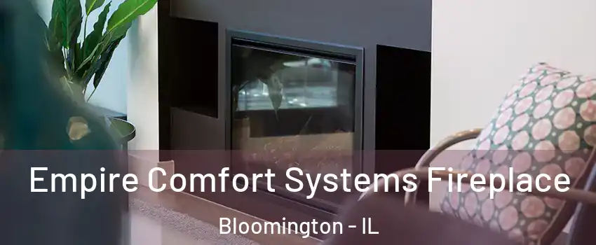  Empire Comfort Systems Fireplace Bloomington - IL