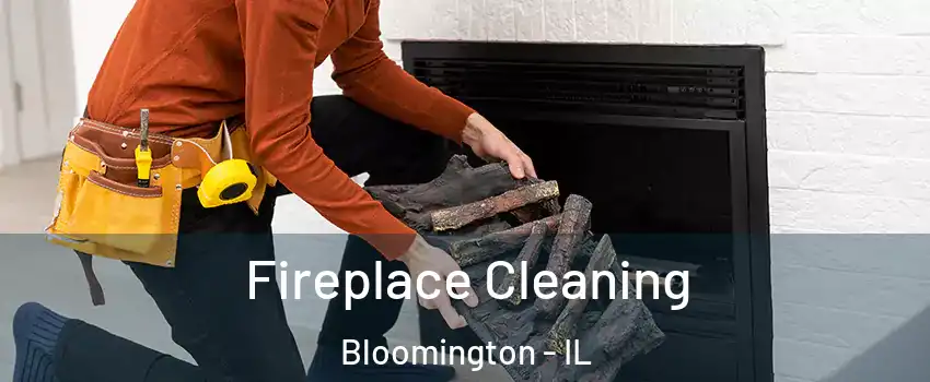  Fireplace Cleaning Bloomington - IL