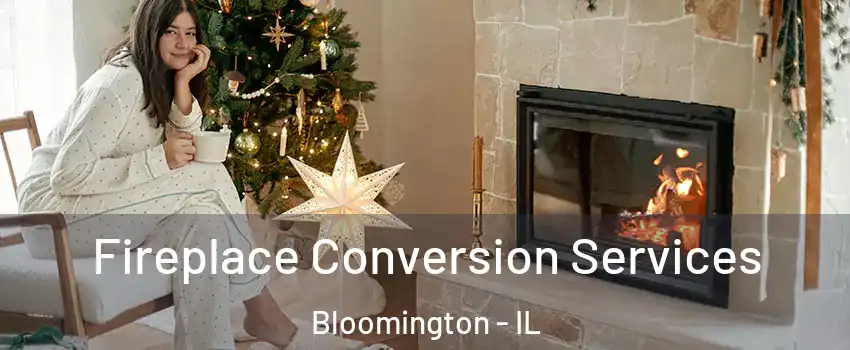  Fireplace Conversion Services Bloomington - IL