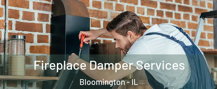 Fireplace Damper Services Bloomington - IL