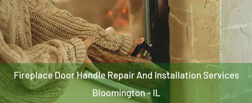  Fireplace Door Handle Repair And Installation Services Bloomington - IL