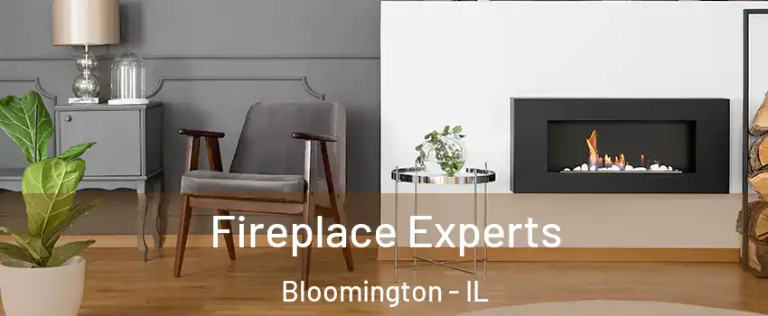  Fireplace Experts Bloomington - IL