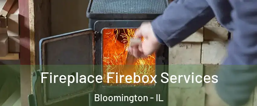 Fireplace Firebox Services Bloomington - IL