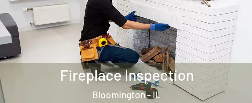  Fireplace Inspection Bloomington - IL