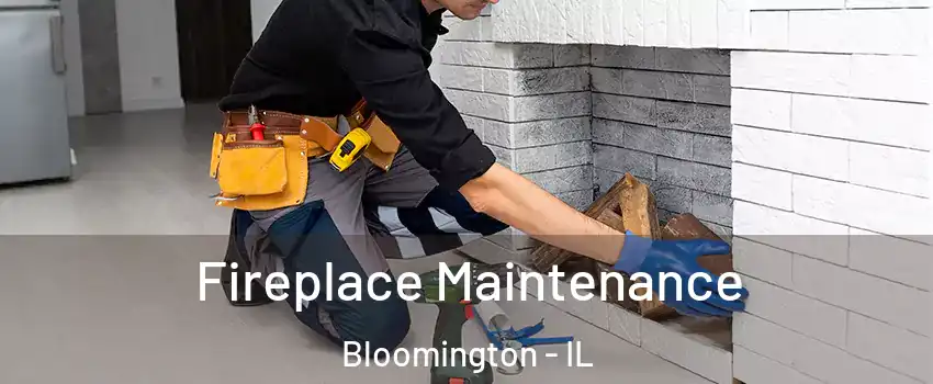  Fireplace Maintenance Bloomington - IL