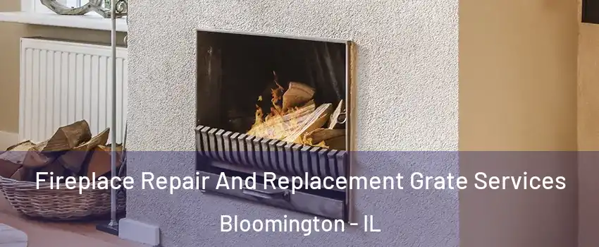  Fireplace Repair And Replacement Grate Services Bloomington - IL