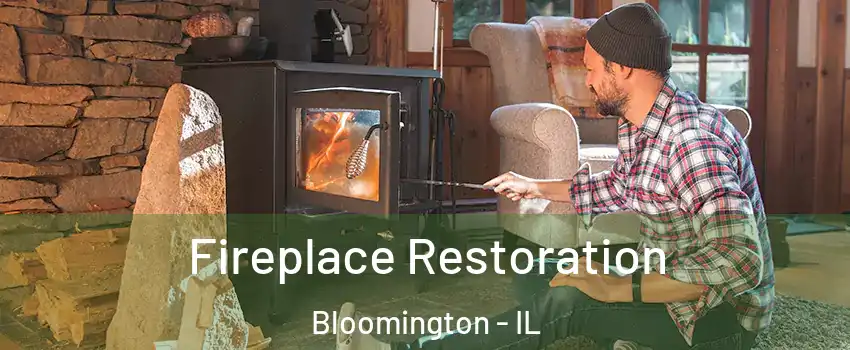  Fireplace Restoration Bloomington - IL