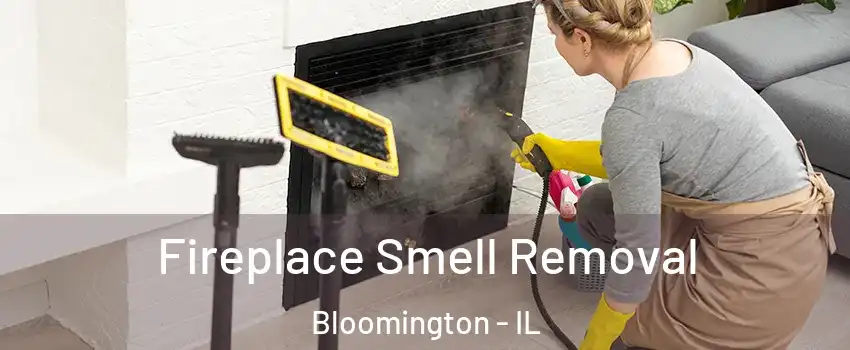 Fireplace Smell Removal Bloomington - IL