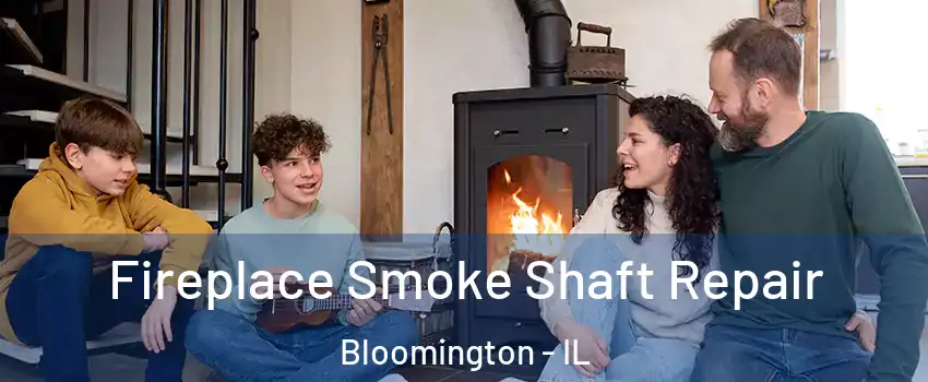  Fireplace Smoke Shaft Repair Bloomington - IL