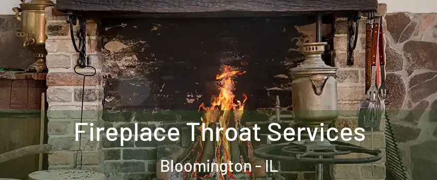  Fireplace Throat Services Bloomington - IL