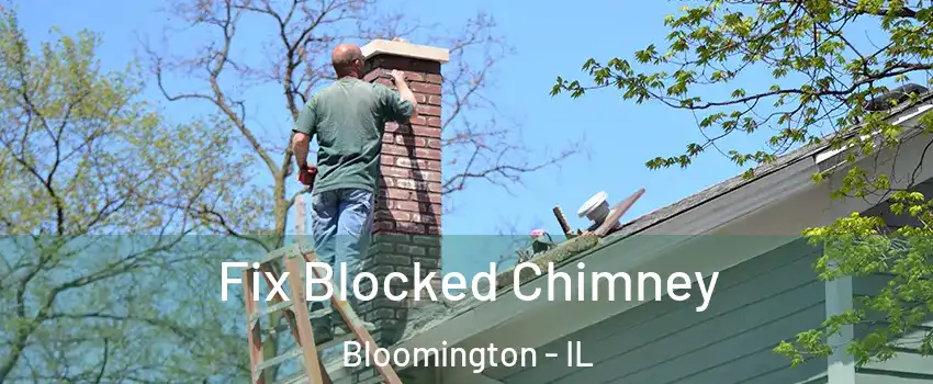  Fix Blocked Chimney Bloomington - IL