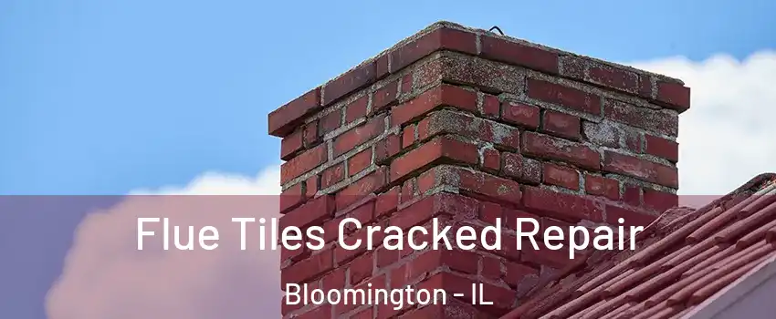  Flue Tiles Cracked Repair Bloomington - IL