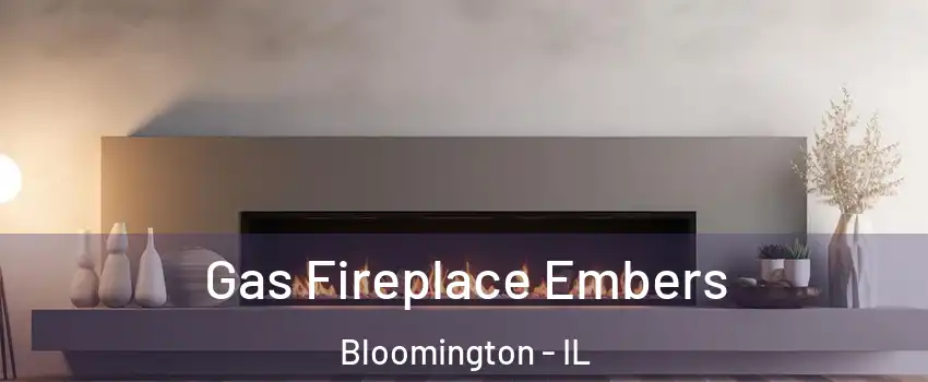  Gas Fireplace Embers Bloomington - IL