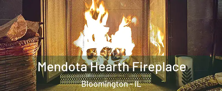  Mendota Hearth Fireplace Bloomington - IL