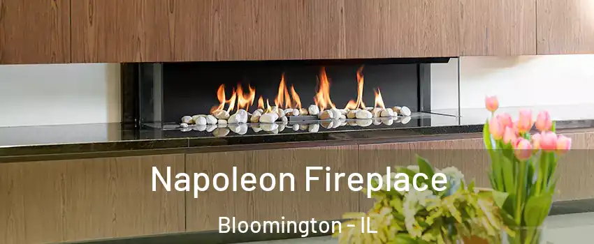  Napoleon Fireplace Bloomington - IL