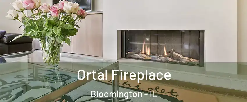  Ortal Fireplace Bloomington - IL