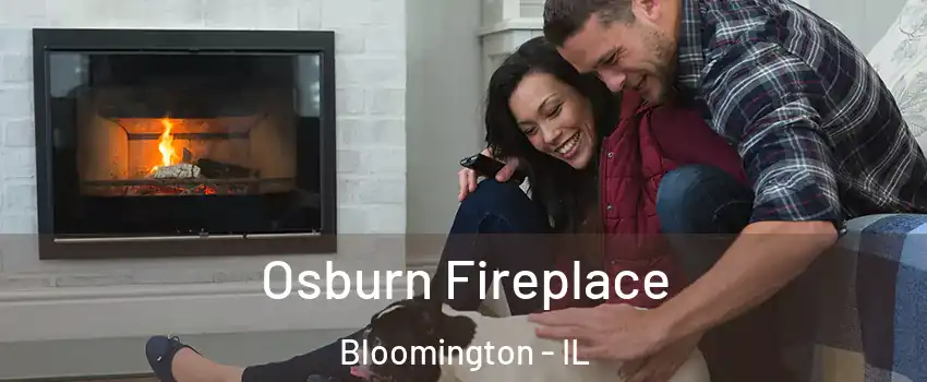  Osburn Fireplace Bloomington - IL