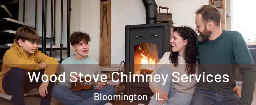  Wood Stove Chimney Services Bloomington - IL